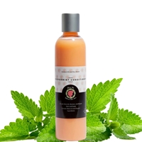 Brafie Peppermint Conditioner 